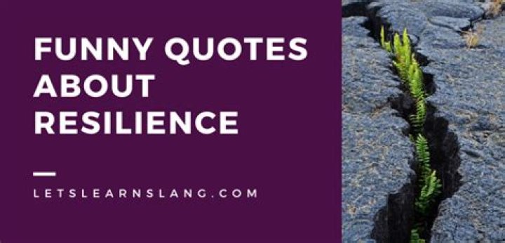 A Journey Of Humor, Resilience, And Discovery
