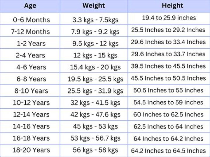 Age, Height, Weight, Family, And More