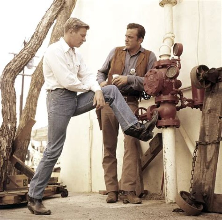 Did Peter Graves And James Arness Get Along Gunsmoke Actors