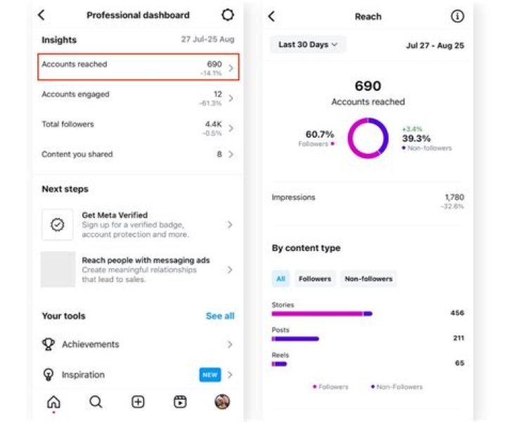 Instagram Account Status Insights And Discoveries
