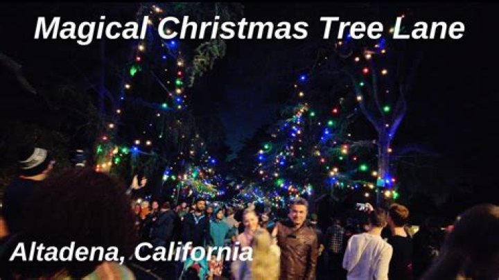 Top-Rated Christmas Tree Lane Altadena: Discover Its Unique Allure