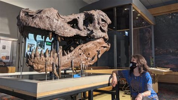 Unveiling The Hidden Truths Of Sue Yung: Discoveries And Insights