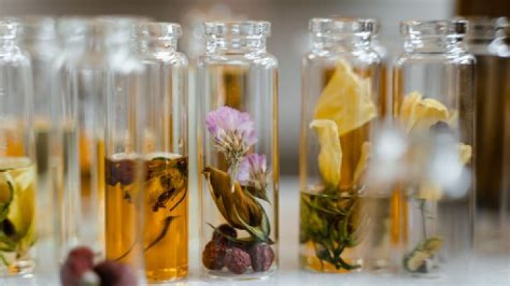 Unveiling The Secrets Of Scotch And Soda: Discoveries And Delights