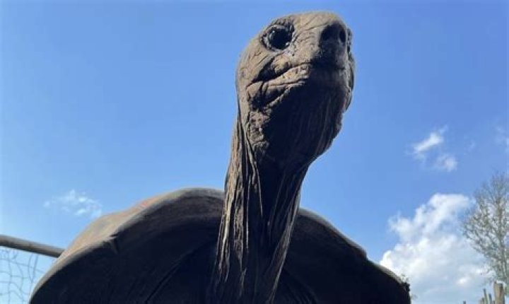 Unveiling The Wonders Of Turtle Back Zoo: A Visual Exploration