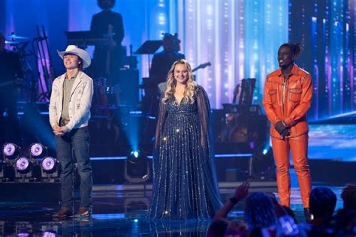 Who is Erika Perry? Meet 'American Idol' contestant from Orange County who was slammed for her 'fake